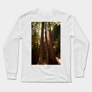 Muir Woods Long Sleeve T-Shirt